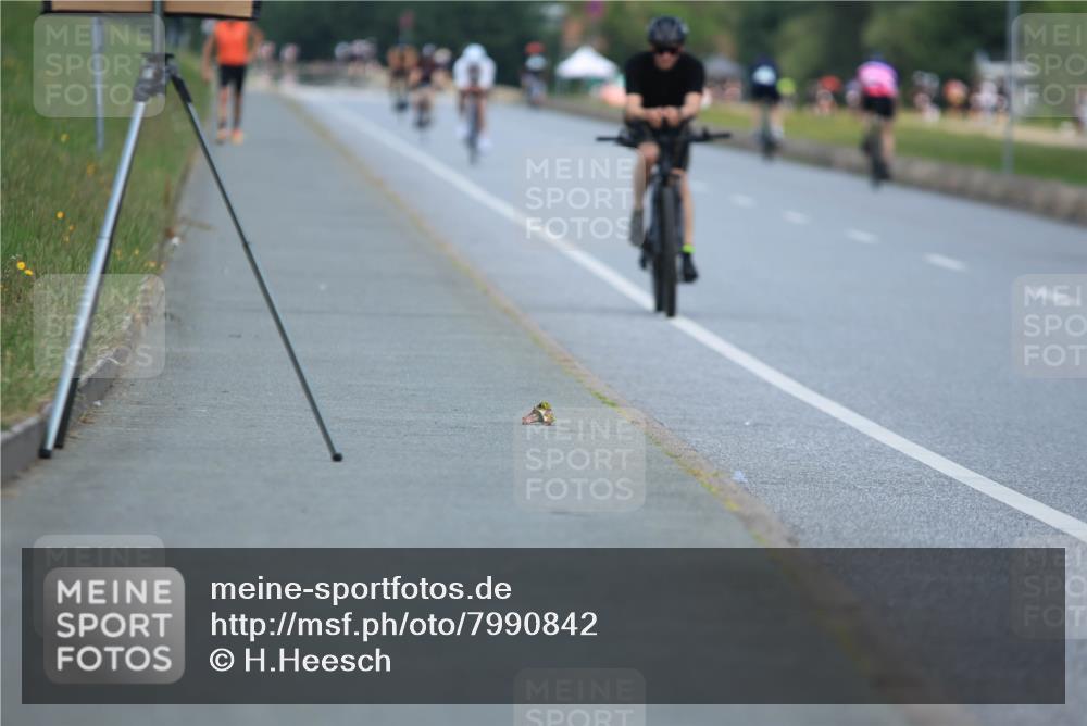 21.06.2025 - 27. Vierlanden-Triathlon H.Heesch http://msf.ph/oto/7990842 15.06.2025 11:53:43 Radfahren 893 meine-sportfotos.de