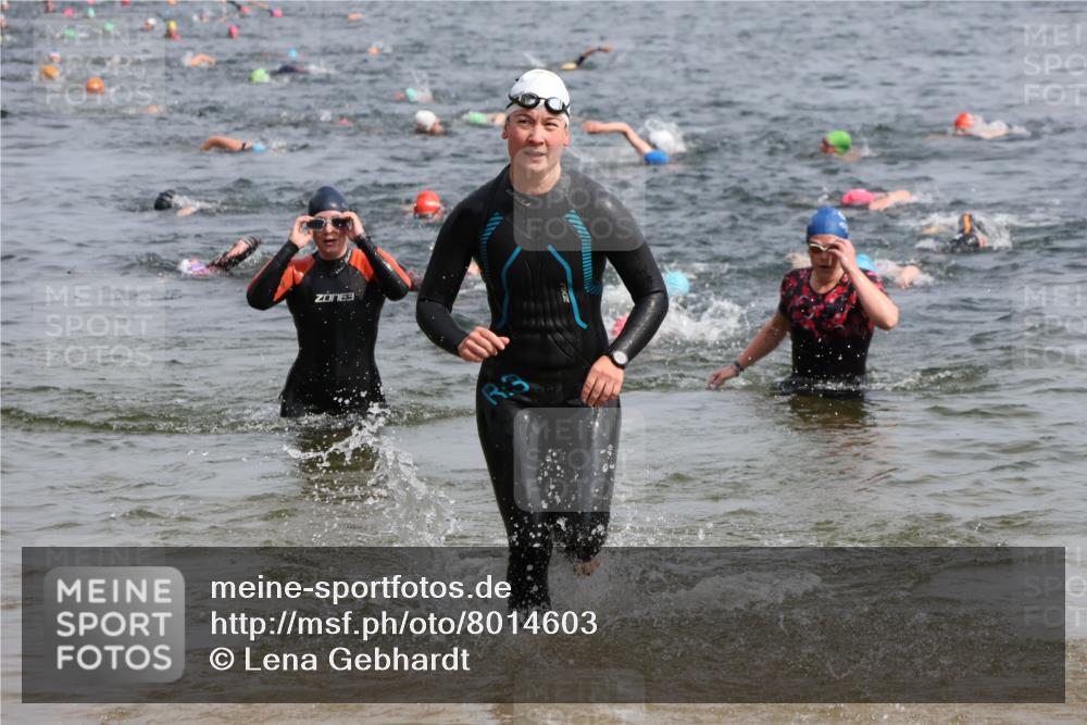 15.06.2025 - 27. Vierlanden-Triathlon Lena Gebhardt http://msf.ph/oto/8014603 15.06.2025 10:14:36 Schwimmen 546, 559, 565, 609, 615 meine-sportfotos.de