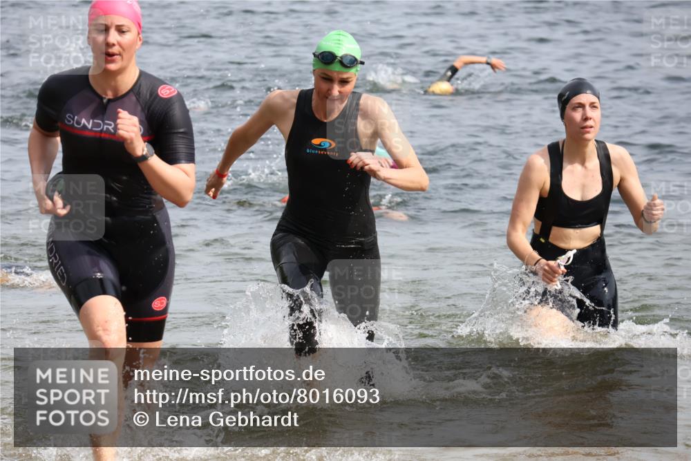 15.06.2025 - 27. Vierlanden-Triathlon Lena Gebhardt http://msf.ph/oto/8016093 15.06.2025 10:15:17 Schwimmen 480, 507, 542, 554, 555, 579, 587, 613, 631, 635 meine-sportfotos.de