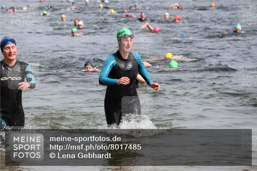 15.06.2025 - 27. Vierlanden-Triathlon Lena Gebhardt http://msf.ph/oto/8017485 15.06.2025 10:16:09 Schwimmen 445, 489, 523, 611, 612 meine-sportfotos.de