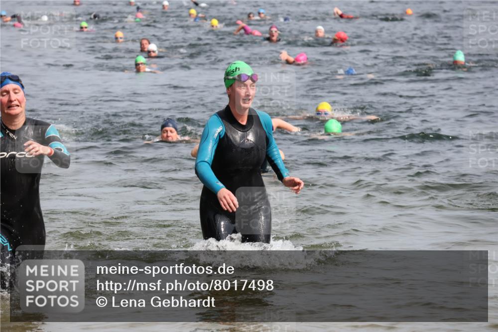 15.06.2025 - 27. Vierlanden-Triathlon Lena Gebhardt http://msf.ph/oto/8017498 15.06.2025 10:16:09 Schwimmen 445, 489, 523, 611, 612 meine-sportfotos.de