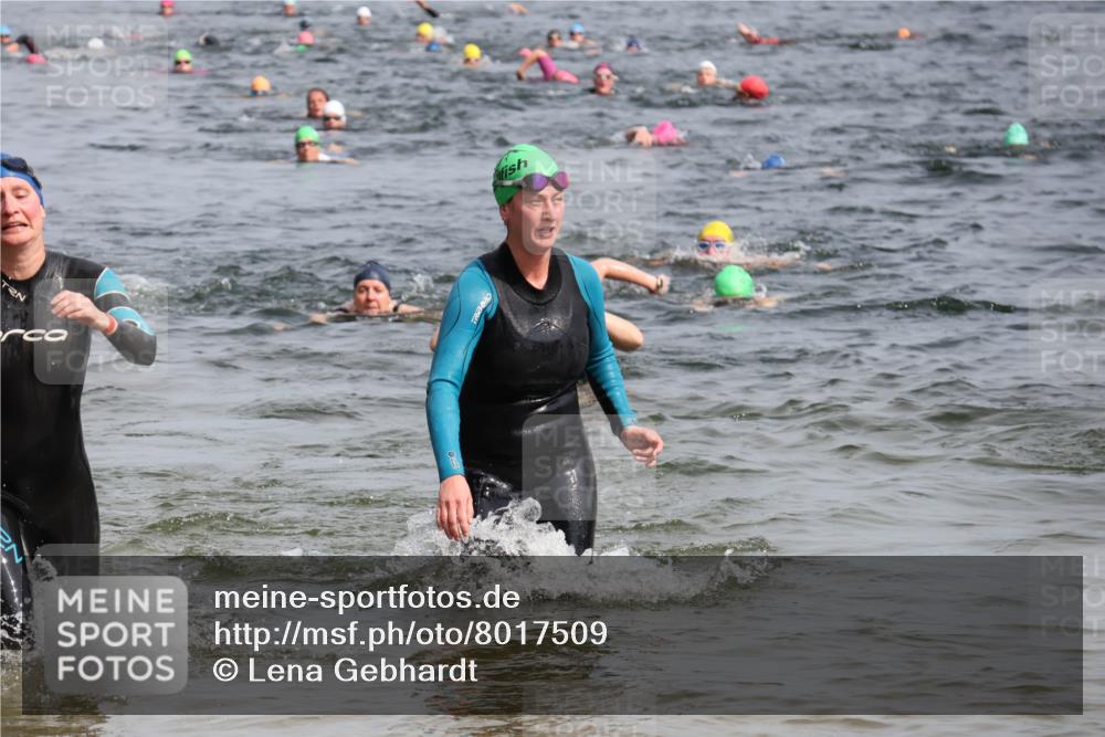 15.06.2025 - 27. Vierlanden-Triathlon Lena Gebhardt http://msf.ph/oto/8017509 15.06.2025 10:16:09 Schwimmen 445, 489, 523, 611, 612 meine-sportfotos.de