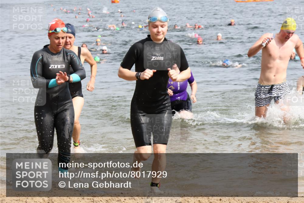 15.06.2025 - 27. Vierlanden-Triathlon Lena Gebhardt http://msf.ph/oto/8017929 15.06.2025 10:16:24 Schwimmen 477, 487, 489, 491, 494, 499, 523, 526, 549, 574, 611, 614, 634 meine-sportfotos.de
