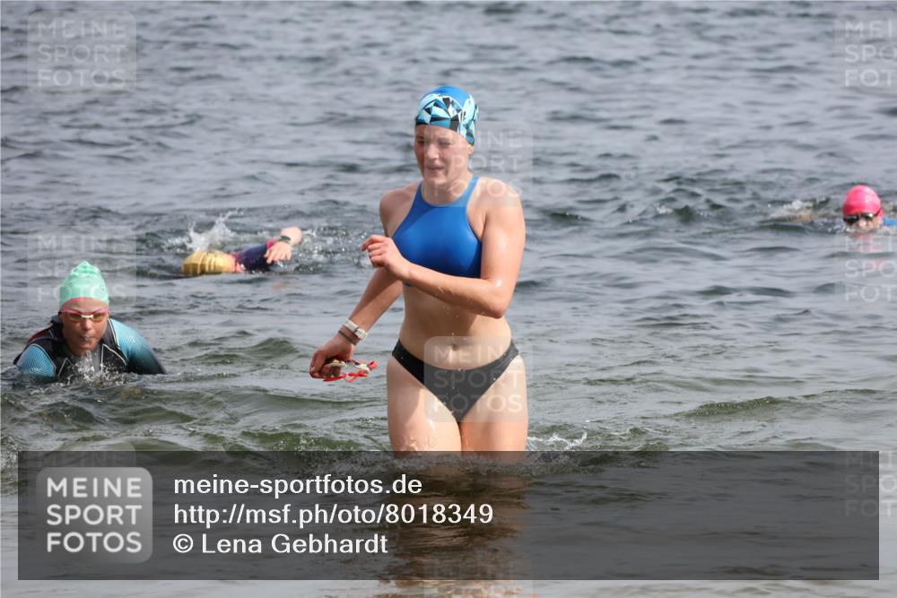 15.06.2025 - 27. Vierlanden-Triathlon Lena Gebhardt http://msf.ph/oto/8018349 15.06.2025 10:16:39 Schwimmen 491, 501, 516, 549, 604, 633 meine-sportfotos.de
