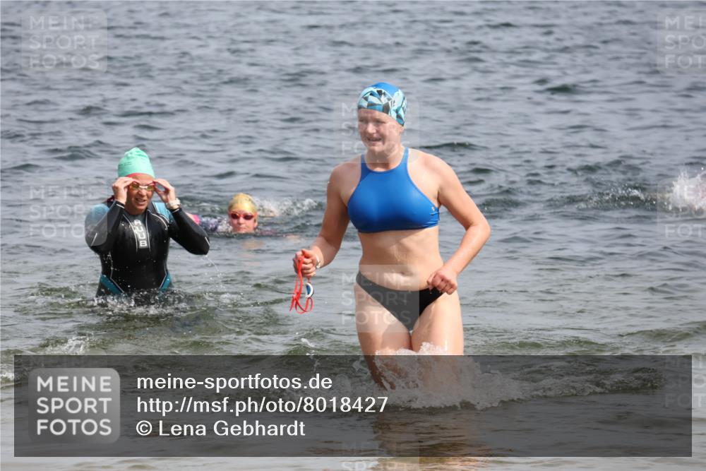 15.06.2025 - 27. Vierlanden-Triathlon Lena Gebhardt http://msf.ph/oto/8018427 15.06.2025 10:16:40 Schwimmen 491, 501, 516, 549, 604, 633 meine-sportfotos.de