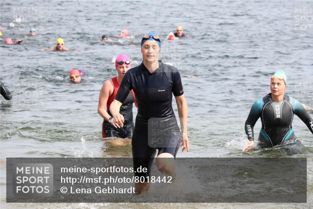15.06.2025 - 27. Vierlanden-Triathlon Lena Gebhardt http://msf.ph/oto/8018442 15.06.2025 10:16:41 Schwimmen 501, 516, 549, 604, 633 meine-sportfotos.de