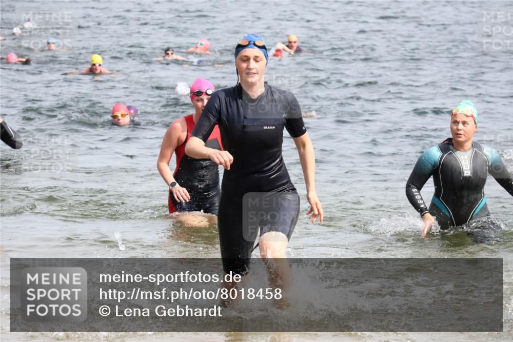 15.06.2025 - 27. Vierlanden-Triathlon Lena Gebhardt http://msf.ph/oto/8018458 15.06.2025 10:16:42 Schwimmen 501, 516, 549, 595, 604, 633 meine-sportfotos.de