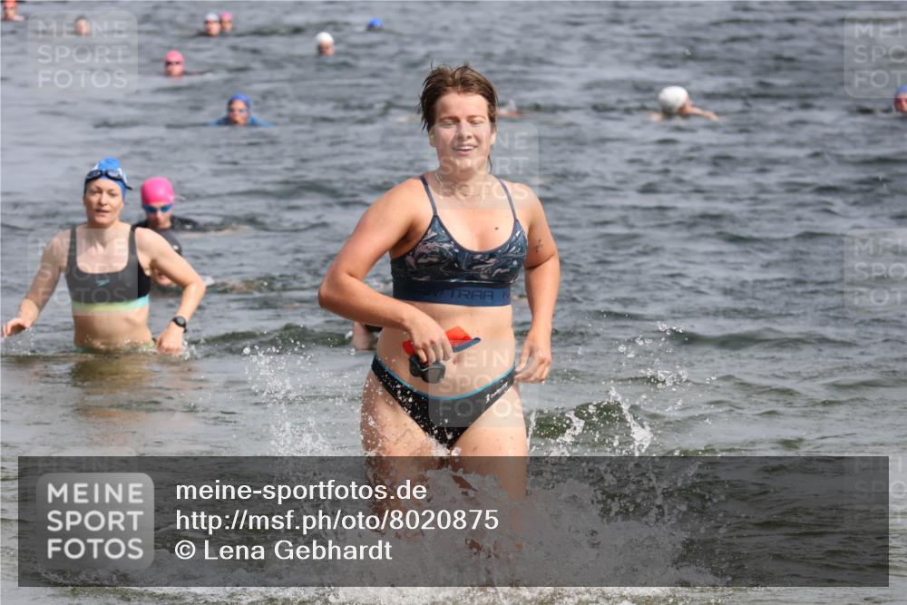 15.06.2025 - 27. Vierlanden-Triathlon Lena Gebhardt http://msf.ph/oto/8020875 15.06.2025 10:18:13 Schwimmen 515, 535, 550, 568, 586, 629 meine-sportfotos.de