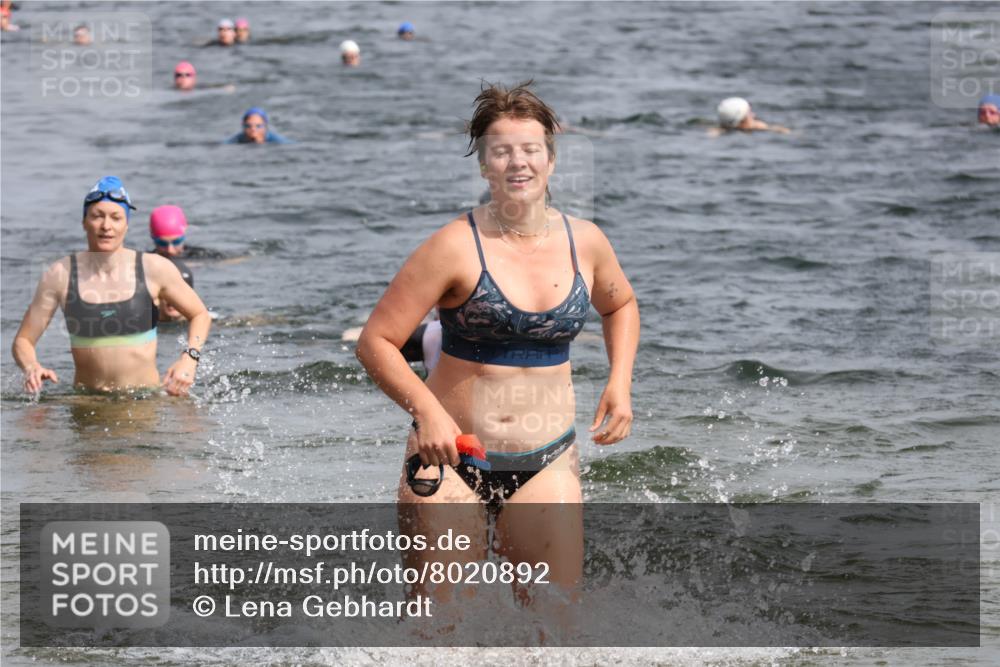 15.06.2025 - 27. Vierlanden-Triathlon Lena Gebhardt http://msf.ph/oto/8020892 15.06.2025 10:18:13 Schwimmen 515, 535, 550, 568, 586, 629 meine-sportfotos.de