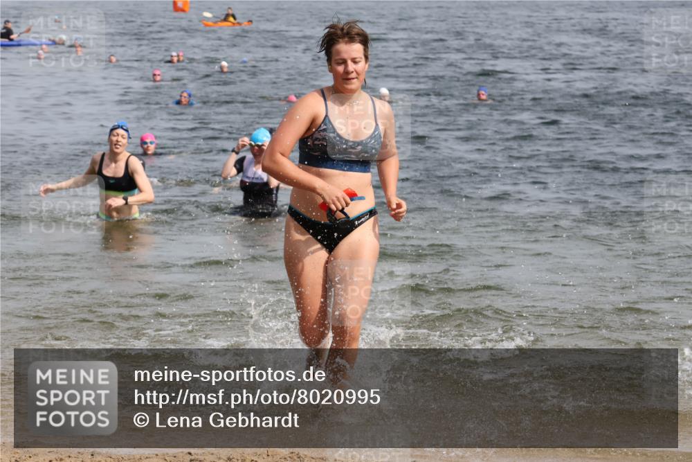 15.06.2025 - 27. Vierlanden-Triathlon Lena Gebhardt http://msf.ph/oto/8020995 15.06.2025 10:18:14 Schwimmen 515, 535, 550, 568, 586, 629 meine-sportfotos.de
