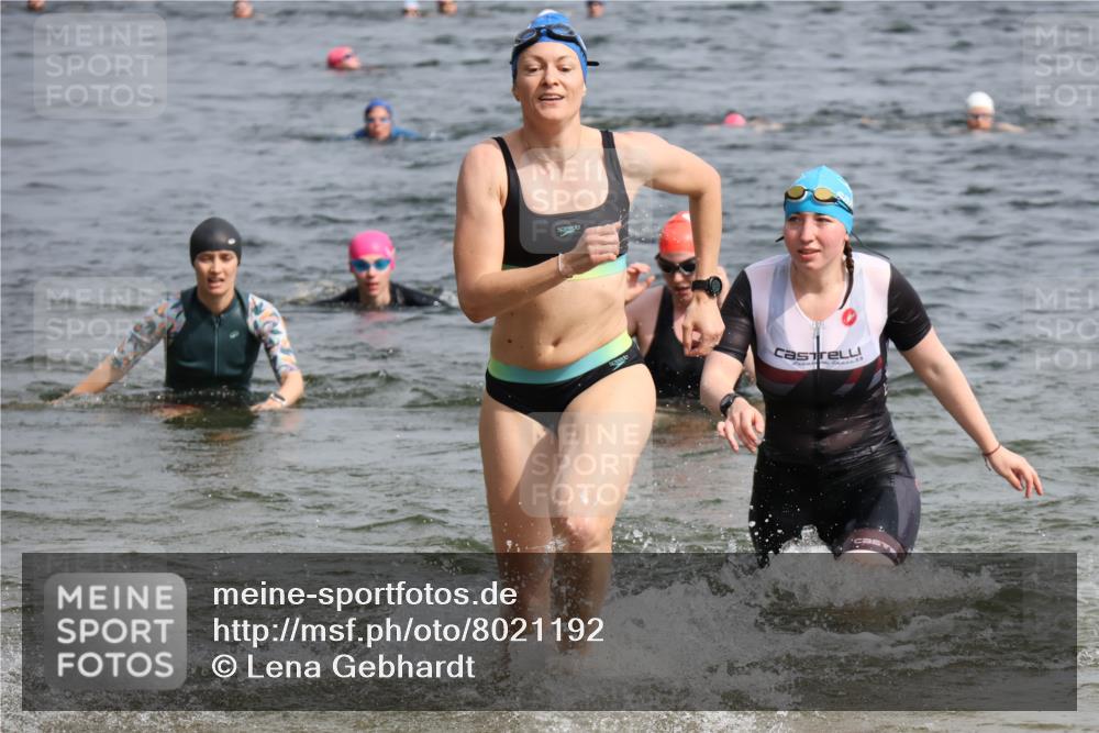 15.06.2025 - 27. Vierlanden-Triathlon Lena Gebhardt http://msf.ph/oto/8021192 15.06.2025 10:18:19 Schwimmen 495, 535, 568, 586 meine-sportfotos.de