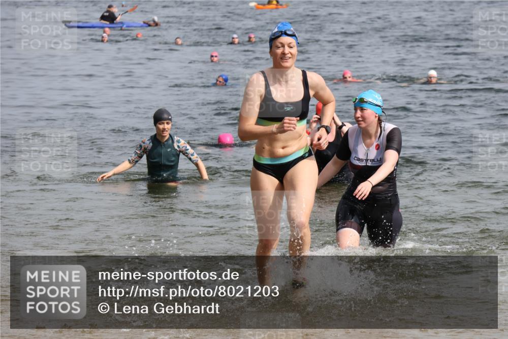 15.06.2025 - 27. Vierlanden-Triathlon Lena Gebhardt http://msf.ph/oto/8021203 15.06.2025 10:18:20 Schwimmen 495, 535, 568, 586 meine-sportfotos.de