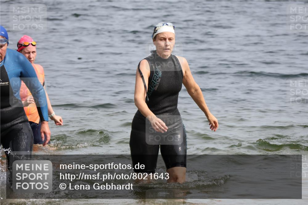 15.06.2025 - 27. Vierlanden-Triathlon Lena Gebhardt http://msf.ph/oto/8021643 15.06.2025 10:19:00 Schwimmen 478, 498, 543 meine-sportfotos.de