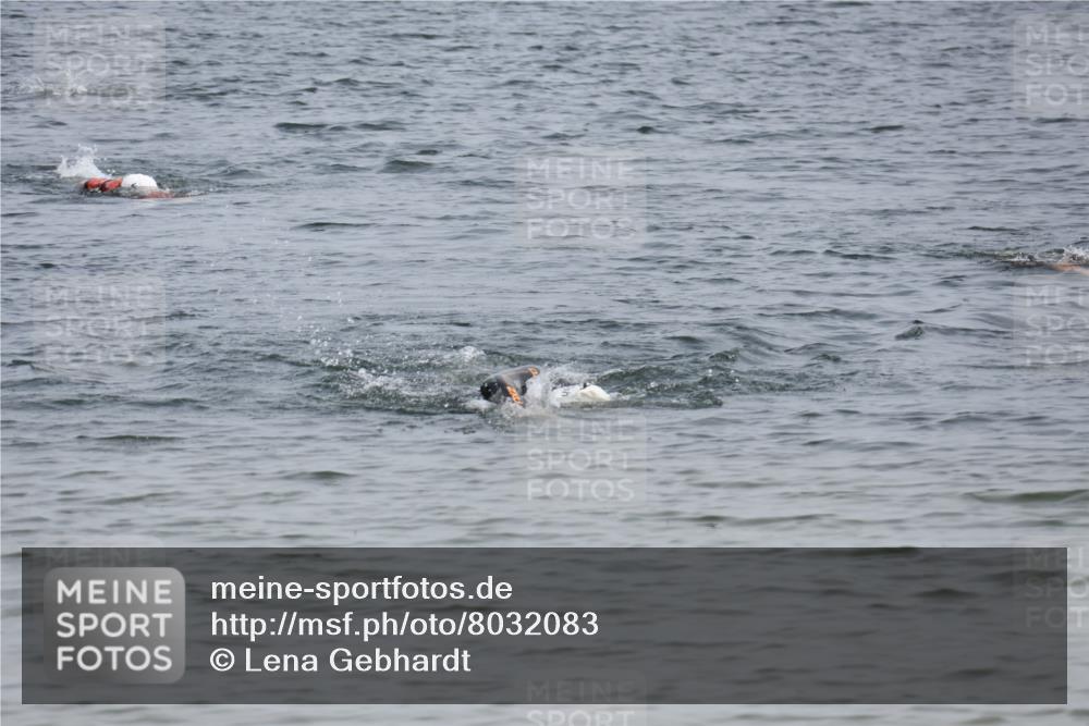 15.06.2025 - 27. Vierlanden-Triathlon Lena Gebhardt http://msf.ph/oto/8032083 15.06.2025 11:13:31 Schwimmen  meine-sportfotos.de
