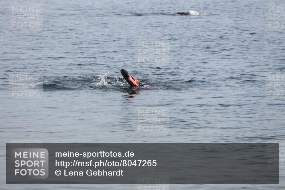 15.06.2025 - 27. Vierlanden-Triathlon Lena Gebhardt http://msf.ph/oto/8047265 15.06.2025 08:46:23 Schwimmen  meine-sportfotos.de