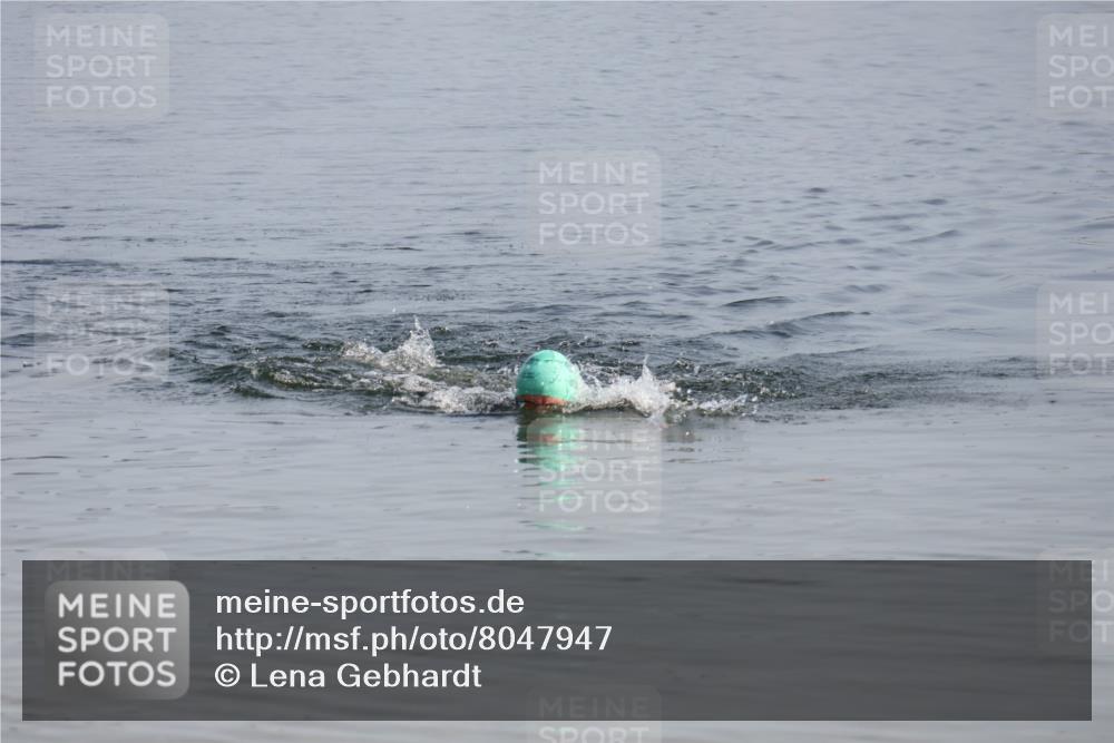 15.06.2025 - 27. Vierlanden-Triathlon Lena Gebhardt http://msf.ph/oto/8047947 15.06.2025 08:56:08 Schwimmen 239 meine-sportfotos.de