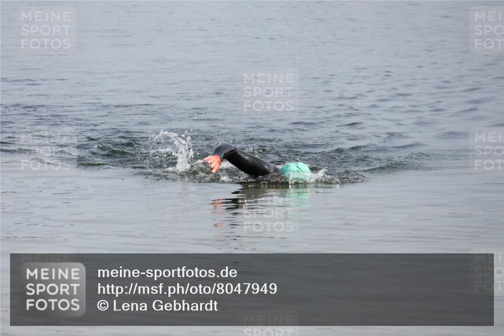 15.06.2025 - 27. Vierlanden-Triathlon Lena Gebhardt http://msf.ph/oto/8047949 15.06.2025 08:56:09 Schwimmen 239 meine-sportfotos.de