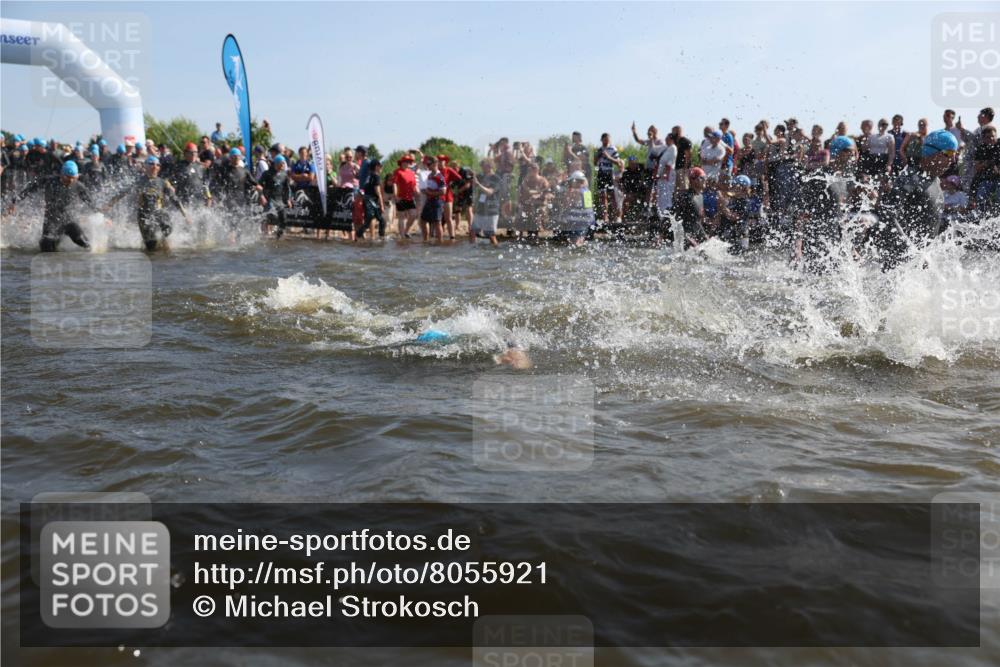 22.06.2025 - Viking Triathlon Michael Strokosch http://msf.ph/oto/8055921 22.06.2025 10:00:48 Schwimmen 8, 9, 132, 145, 184, 258, 289, 301, 306, 352, 368, 414, 491, 612, 613, 616, 630, 652 meine-sportfotos.de