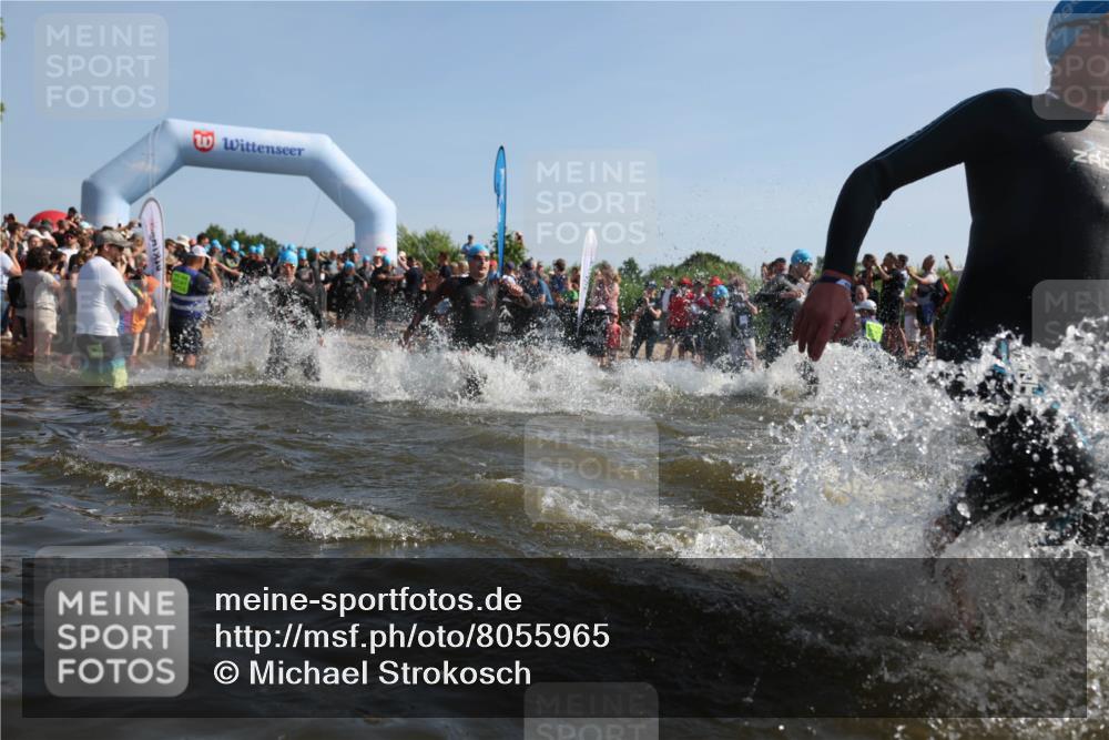 22.06.2025 - Viking Triathlon Michael Strokosch http://msf.ph/oto/8055965 22.06.2025 10:01:04 Schwimmen 12, 50, 63, 113, 124, 131, 147, 236, 294, 347, 350, 443, 458, 488 meine-sportfotos.de
