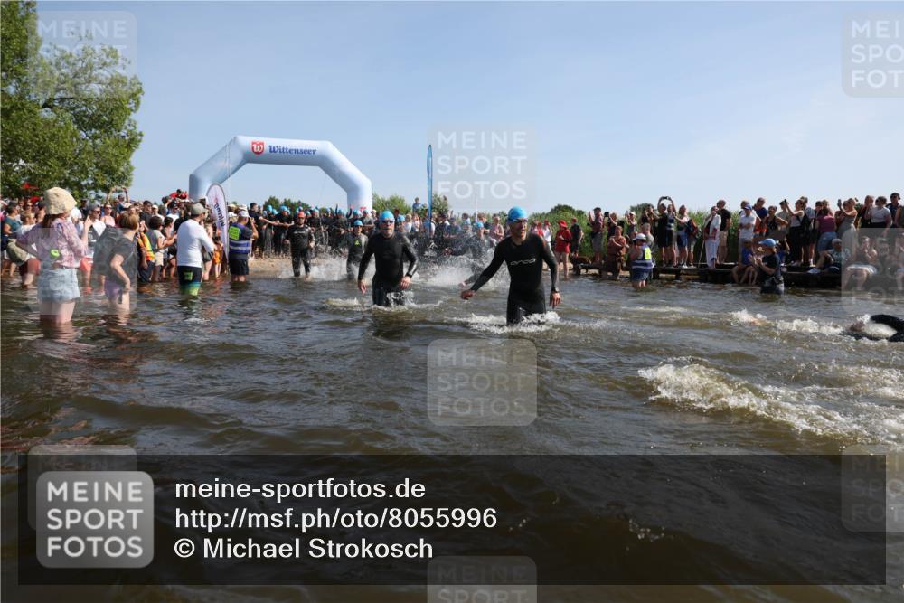 22.06.2025 - Viking Triathlon Michael Strokosch http://msf.ph/oto/8055996 22.06.2025 10:01:18 Schwimmen 38, 53, 131, 147, 173, 214, 284, 287, 311, 330, 341, 443, 444, 488, 643 meine-sportfotos.de