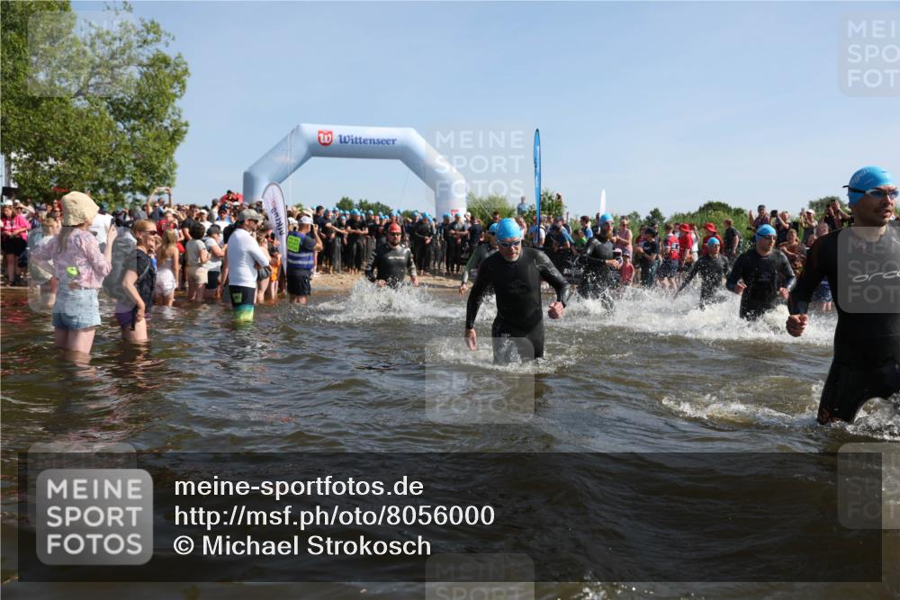 22.06.2025 - Viking Triathlon Michael Strokosch http://msf.ph/oto/8056000 22.06.2025 10:01:19 Schwimmen 38, 53, 173, 203, 214, 216, 224, 284, 287, 311, 330, 341, 393, 444, 643 meine-sportfotos.de