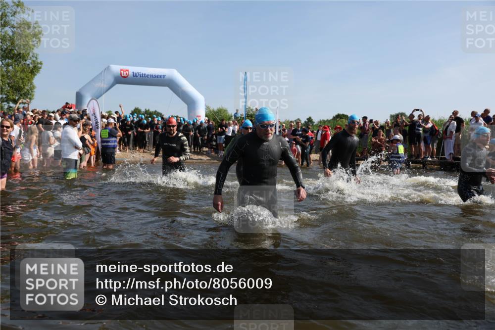 22.06.2025 - Viking Triathlon Michael Strokosch http://msf.ph/oto/8056009 22.06.2025 10:01:21 Schwimmen 38, 53, 173, 203, 214, 216, 224, 284, 287, 311, 341, 381, 393, 444, 643 meine-sportfotos.de