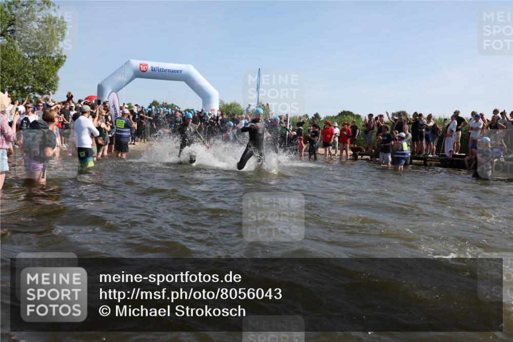 22.06.2025 - Viking Triathlon Michael Strokosch http://msf.ph/oto/8056043 22.06.2025 10:01:29 Schwimmen 99, 162, 203, 216, 224, 226, 237, 272, 381, 393, 399, 461, 507, 510, 626 meine-sportfotos.de