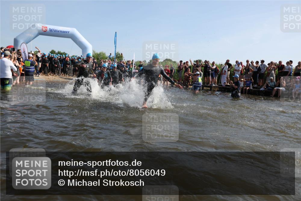 22.06.2025 - Viking Triathlon Michael Strokosch http://msf.ph/oto/8056049 22.06.2025 10:01:30 Schwimmen 99, 162, 203, 216, 224, 226, 237, 272, 381, 393, 399, 461, 507, 510, 626 meine-sportfotos.de