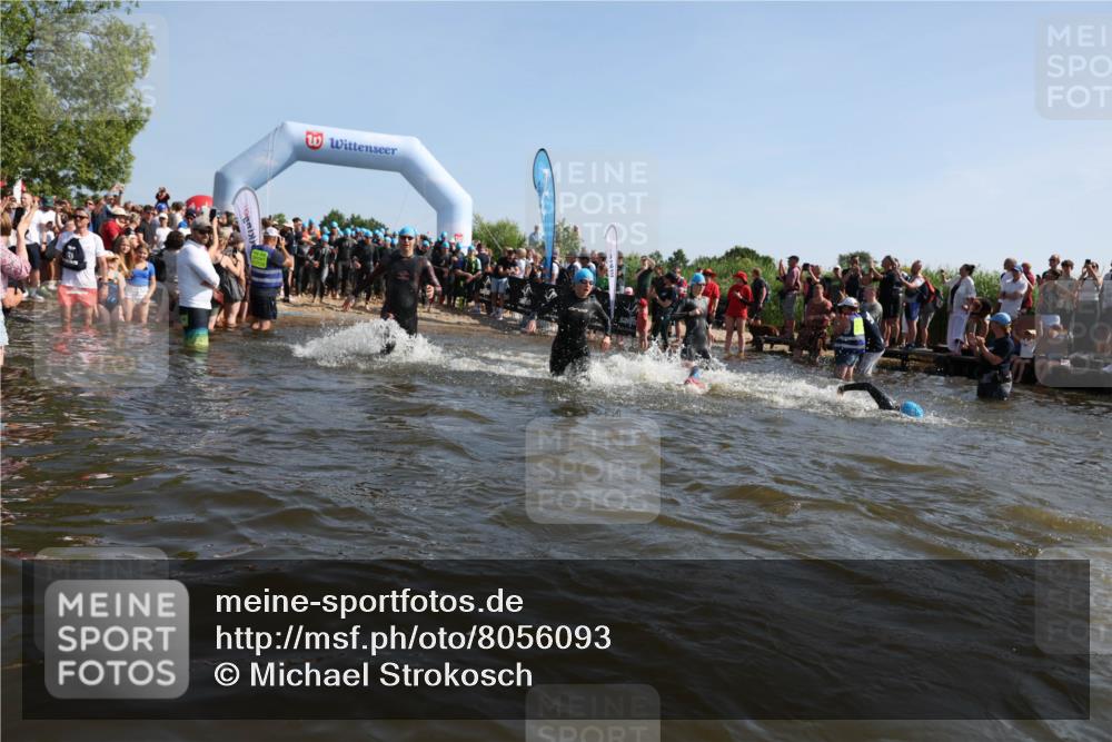 22.06.2025 - Viking Triathlon Michael Strokosch http://msf.ph/oto/8056093 22.06.2025 10:01:41 Schwimmen 19, 33, 170, 272, 310, 320, 344, 399, 438, 461, 496, 507, 555, 604, 626 meine-sportfotos.de