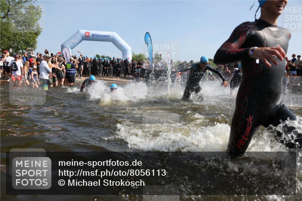 22.06.2025 - Viking Triathlon Michael Strokosch http://msf.ph/oto/8056113 22.06.2025 10:01:45 Schwimmen 19, 33, 125, 158, 170, 271, 310, 320, 344, 355, 438, 496, 555, 604, 618 meine-sportfotos.de