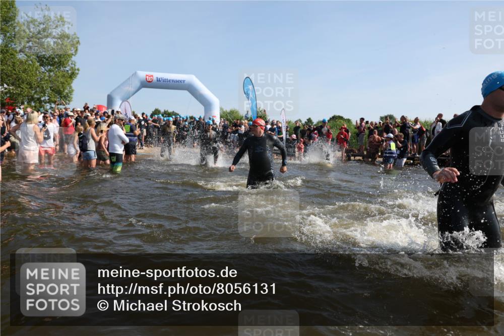 22.06.2025 - Viking Triathlon Michael Strokosch http://msf.ph/oto/8056131 22.06.2025 10:01:54 Schwimmen 3, 17, 80, 91, 125, 158, 170, 271, 278, 299, 304, 355, 435, 449, 496, 551, 618 meine-sportfotos.de