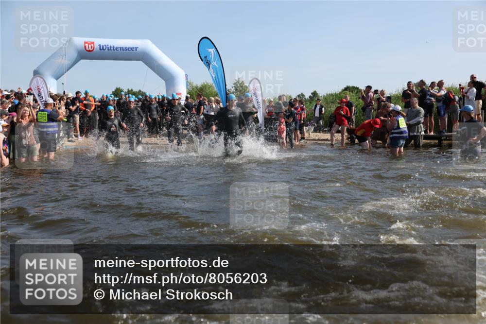 22.06.2025 - Viking Triathlon Michael Strokosch http://msf.ph/oto/8056203 22.06.2025 10:02:19 Schwimmen 21, 75, 139, 207, 247, 255, 265, 309, 331, 382, 464, 469, 522 meine-sportfotos.de