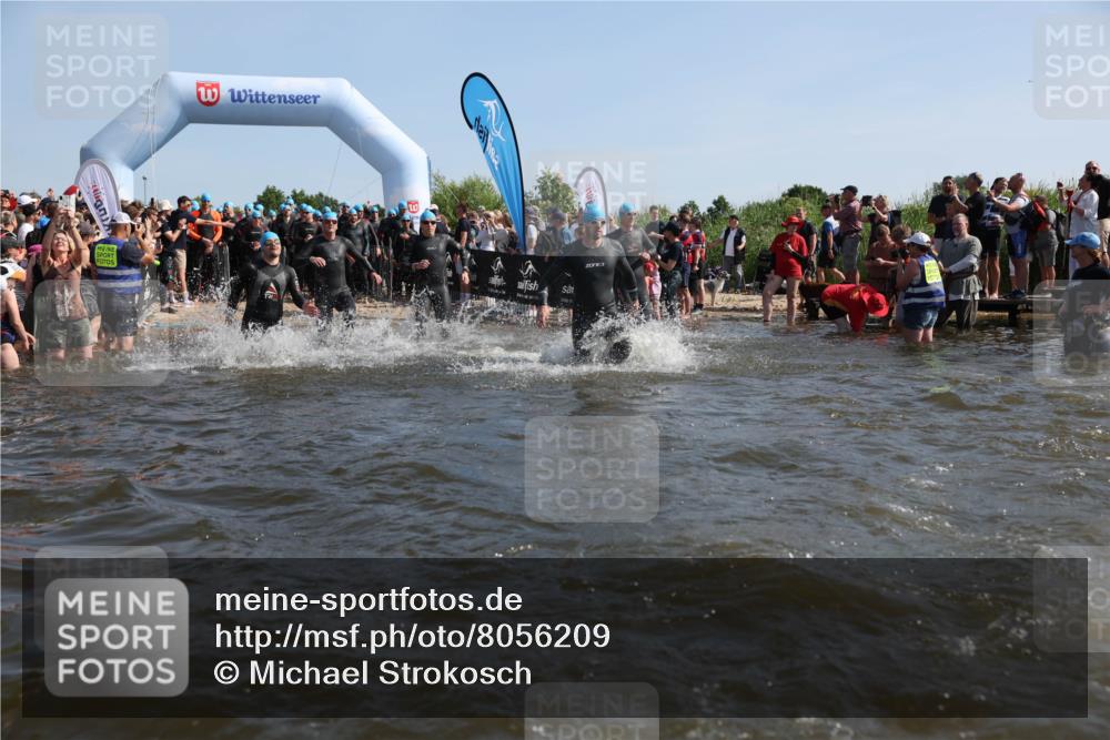 22.06.2025 - Viking Triathlon Michael Strokosch http://msf.ph/oto/8056209 22.06.2025 10:02:20 Schwimmen 21, 75, 78, 103, 139, 180, 207, 255, 265, 283, 309, 331, 382, 464, 469 meine-sportfotos.de