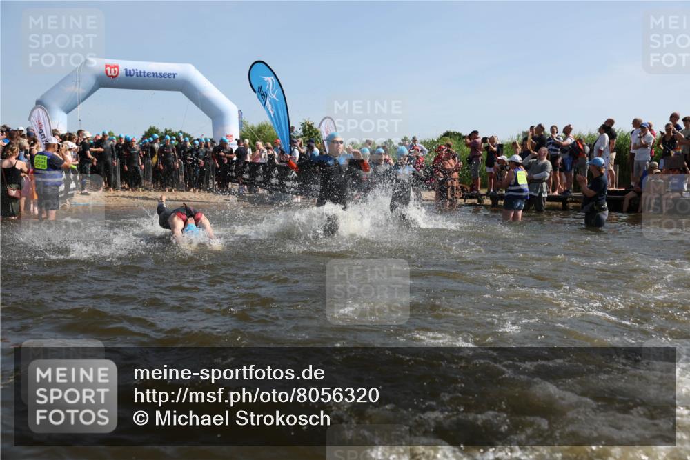 22.06.2025 - Viking Triathlon Michael Strokosch http://msf.ph/oto/8056320 22.06.2025 10:02:45 Schwimmen 40, 98, 161, 164, 264, 323, 340, 366, 427, 429, 430, 486, 548, 552, 608 meine-sportfotos.de