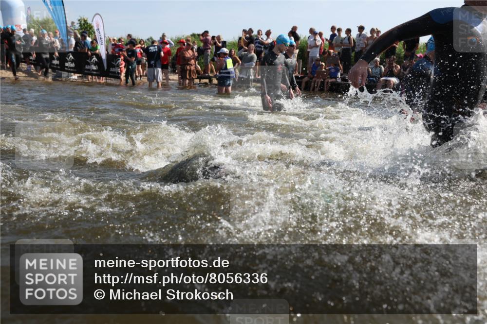 22.06.2025 - Viking Triathlon Michael Strokosch http://msf.ph/oto/8056336 22.06.2025 10:02:47 Schwimmen 40, 98, 161, 164, 264, 323, 340, 366, 427, 429, 430, 486, 548, 552, 608 meine-sportfotos.de
