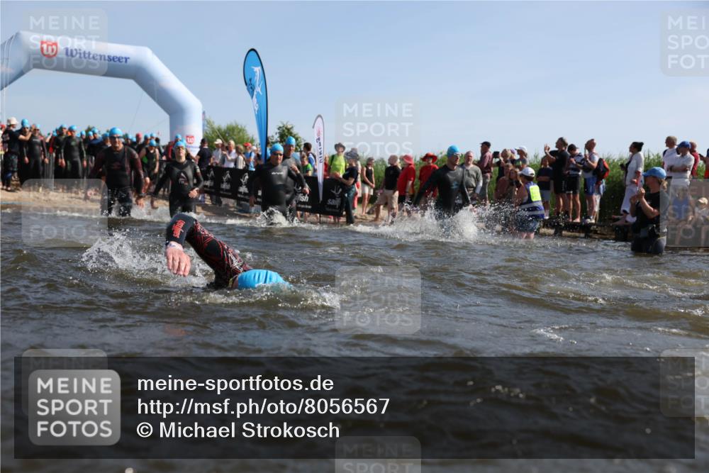 22.06.2025 - Viking Triathlon Michael Strokosch http://msf.ph/oto/8056567 22.06.2025 10:04:16 Schwimmen 115, 141, 142, 156, 185, 195, 199, 253, 276, 351, 377, 408, 474, 493, 529 meine-sportfotos.de