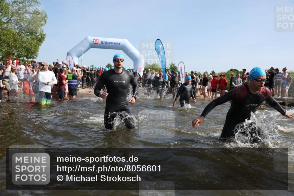 22.06.2025 - Viking Triathlon Michael Strokosch http://msf.ph/oto/8056601 22.06.2025 10:04:28 Schwimmen 115, 146, 195, 209, 238, 239, 253, 335, 375, 377, 408, 419, 447, 457, 506, 629, 662 meine-sportfotos.de