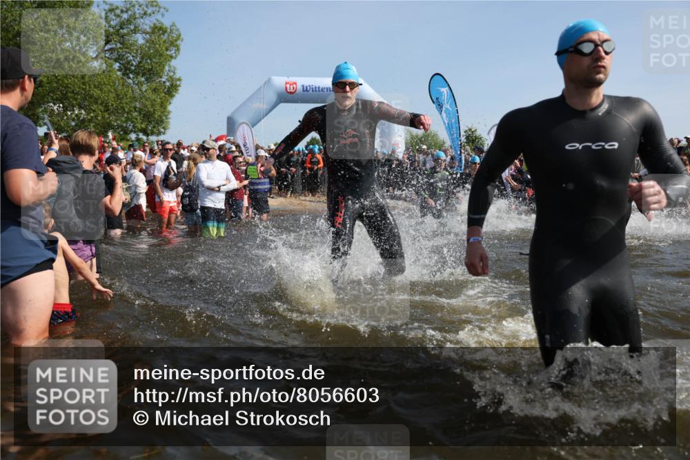 22.06.2025 - Viking Triathlon Michael Strokosch http://msf.ph/oto/8056603 22.06.2025 10:04:30 Schwimmen 146, 195, 209, 238, 239, 327, 335, 375, 377, 419, 447, 457, 482, 506, 514, 629, 662 meine-sportfotos.de