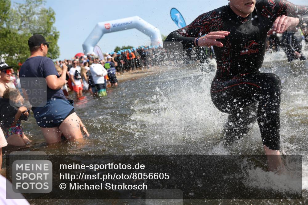 22.06.2025 - Viking Triathlon Michael Strokosch http://msf.ph/oto/8056605 22.06.2025 10:04:31 Schwimmen 146, 209, 238, 239, 327, 335, 375, 419, 447, 457, 482, 506, 514, 629, 662 meine-sportfotos.de