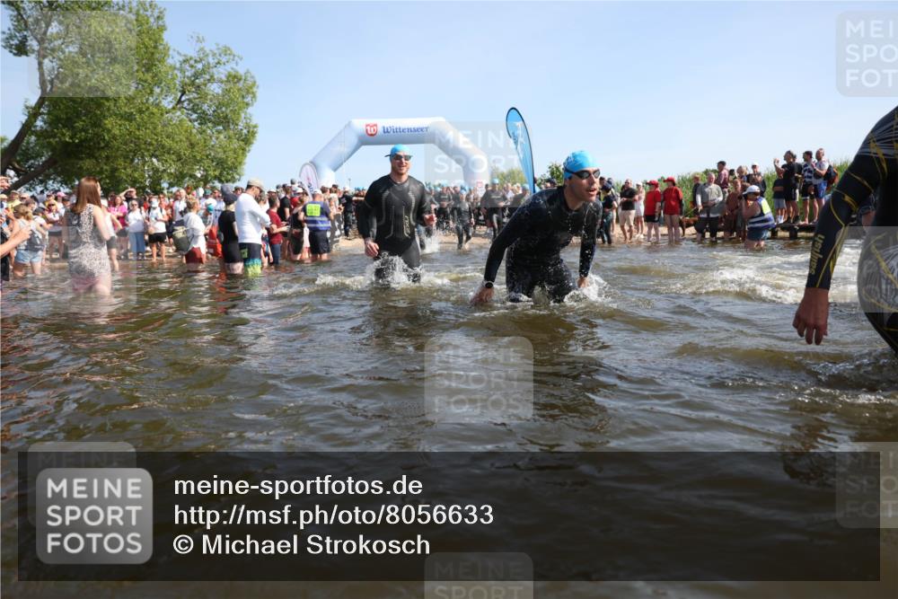 22.06.2025 - Viking Triathlon Michael Strokosch http://msf.ph/oto/8056633 22.06.2025 10:04:48 Schwimmen 29, 55, 70, 72, 85, 86, 245, 248, 281, 312, 316, 411, 428, 515, 550 meine-sportfotos.de
