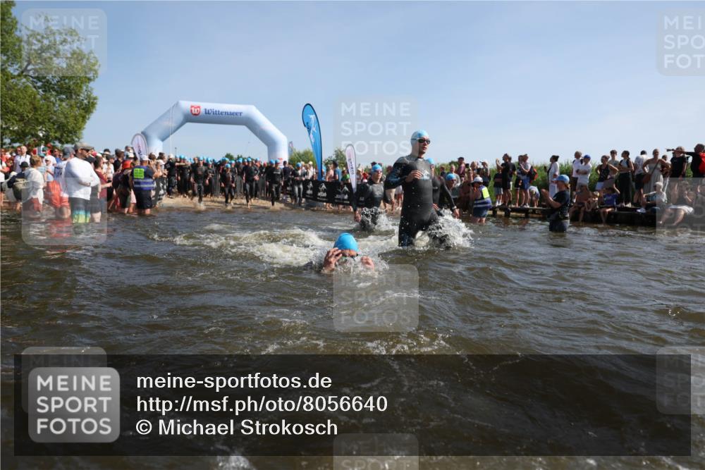 22.06.2025 - Viking Triathlon Michael Strokosch http://msf.ph/oto/8056640 22.06.2025 10:04:52 Schwimmen 29, 70, 72, 86, 248, 254, 281, 295, 312, 316, 394, 411, 509, 515, 527 meine-sportfotos.de