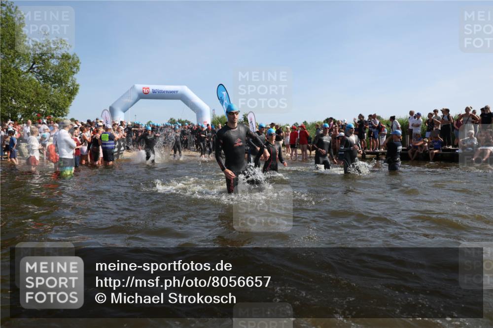 22.06.2025 - Viking Triathlon Michael Strokosch http://msf.ph/oto/8056657 22.06.2025 10:04:57 Schwimmen 29, 70, 72, 197, 248, 254, 295, 362, 394, 411, 416, 423, 509, 527, 620 meine-sportfotos.de