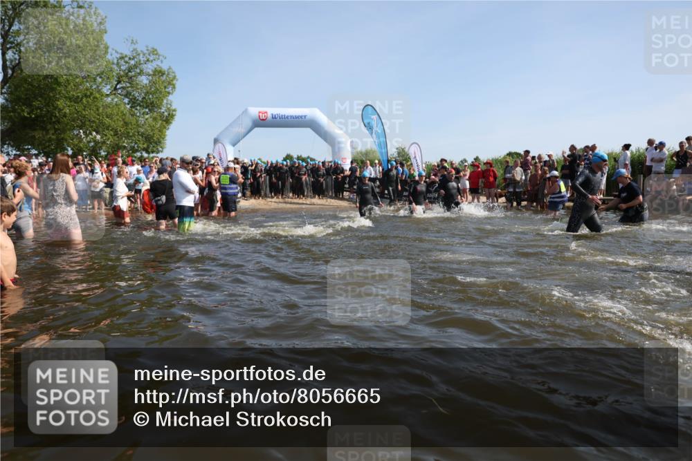 22.06.2025 - Viking Triathlon Michael Strokosch http://msf.ph/oto/8056665 22.06.2025 10:05:00 Schwimmen 197, 232, 254, 295, 362, 386, 394, 407, 416, 423, 500, 509, 527, 605, 620 meine-sportfotos.de