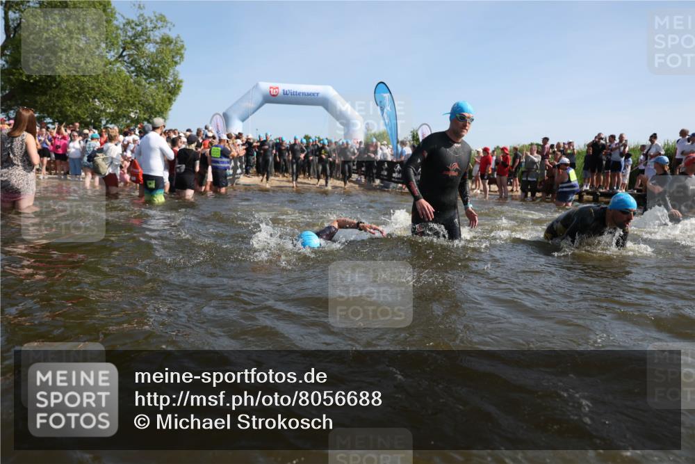 22.06.2025 - Viking Triathlon Michael Strokosch http://msf.ph/oto/8056688 22.06.2025 10:05:13 Schwimmen 94, 171, 172, 232, 291, 346, 386, 388, 389, 395, 418, 500, 605, 627 meine-sportfotos.de