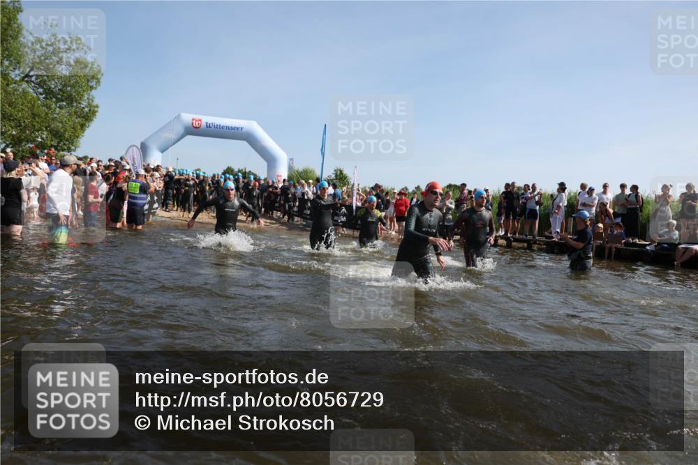 22.06.2025 - Viking Triathlon Michael Strokosch http://msf.ph/oto/8056729 22.06.2025 10:05:31 Schwimmen 22, 150, 167, 181, 210, 228, 314, 437, 439, 462, 538, 601, 603, 654, 655 meine-sportfotos.de