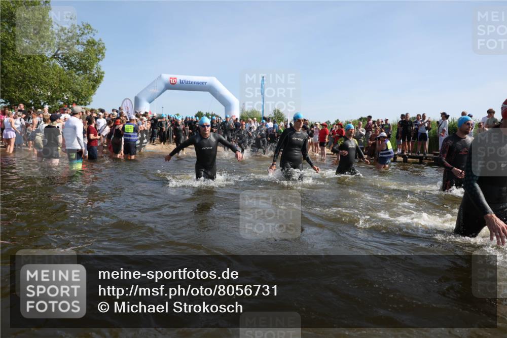 22.06.2025 - Viking Triathlon Michael Strokosch http://msf.ph/oto/8056731 22.06.2025 10:05:33 Schwimmen 22, 150, 167, 181, 210, 228, 437, 439, 462, 538, 553, 601, 603, 654, 655 meine-sportfotos.de