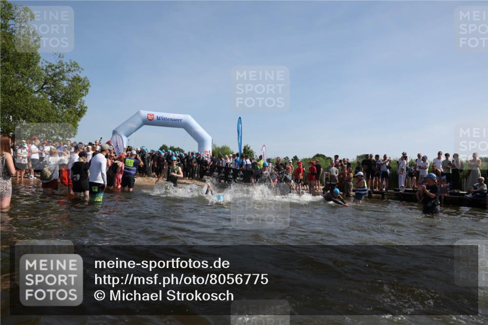 22.06.2025 - Viking Triathlon Michael Strokosch http://msf.ph/oto/8056775 22.06.2025 10:05:50 Schwimmen 68, 128, 135, 194, 211, 275, 379, 397, 441, 442, 465, 517, 530, 633, 653 meine-sportfotos.de
