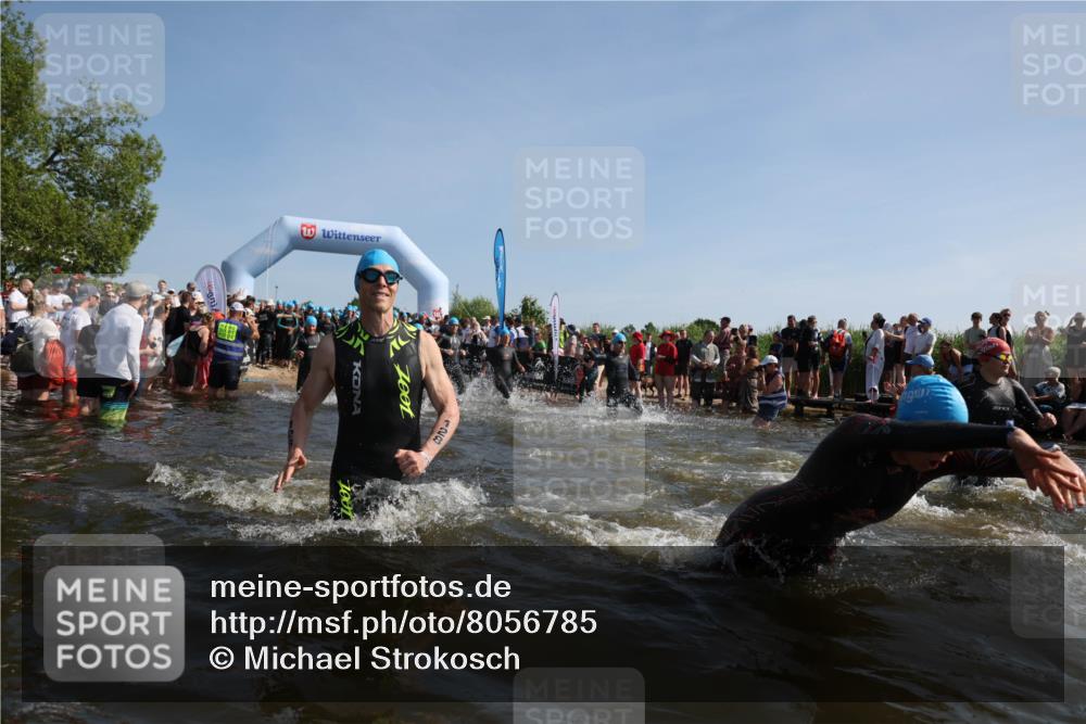 22.06.2025 - Viking Triathlon Michael Strokosch http://msf.ph/oto/8056785 22.06.2025 10:05:54 Schwimmen 68, 128, 211, 275, 397, 441, 442, 465, 530, 633 meine-sportfotos.de