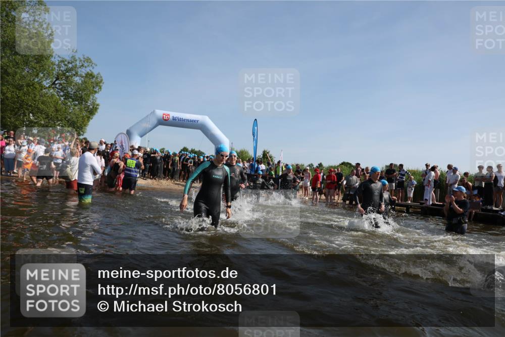 22.06.2025 - Viking Triathlon Michael Strokosch http://msf.ph/oto/8056801 22.06.2025 10:06:05 Schwimmen 41, 144, 169, 249, 266, 269, 325, 390, 446, 460, 489, 508, 644 meine-sportfotos.de