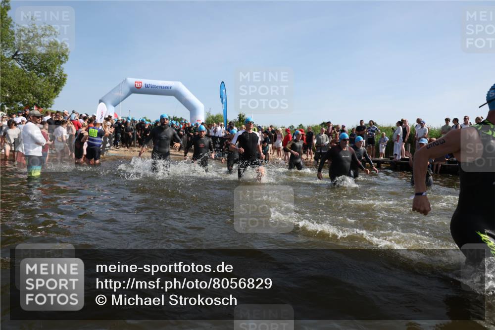 22.06.2025 - Viking Triathlon Michael Strokosch http://msf.ph/oto/8056829 22.06.2025 10:06:16 Schwimmen 39, 41, 60, 84, 110, 117, 153, 191, 266, 325, 385, 440, 446, 487, 535 meine-sportfotos.de